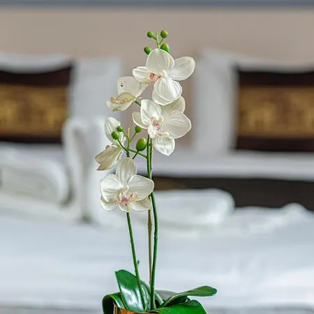 Andrassy Thai 3* Budapeste